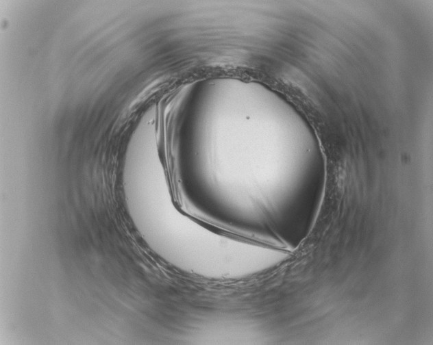 X0000059250968200510281952