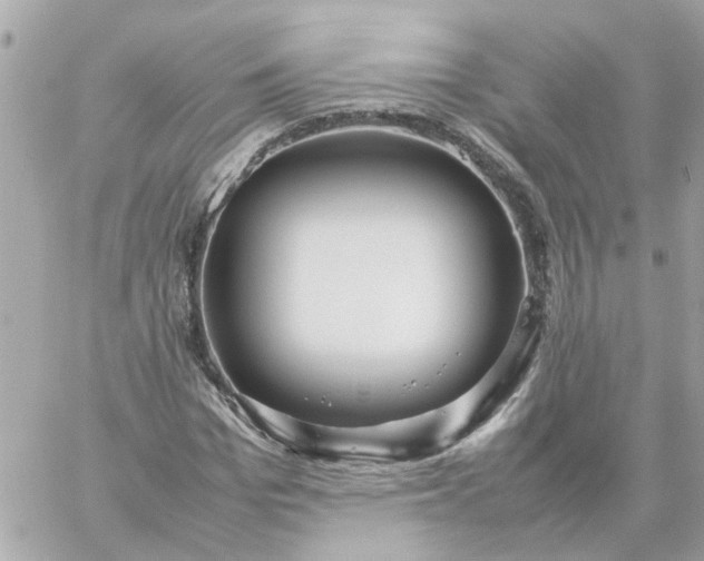 X0000059250969200510281952