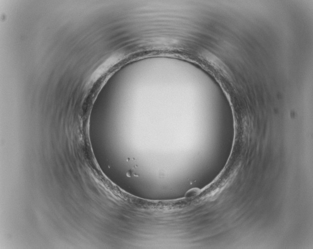 X0000059250970200510281952