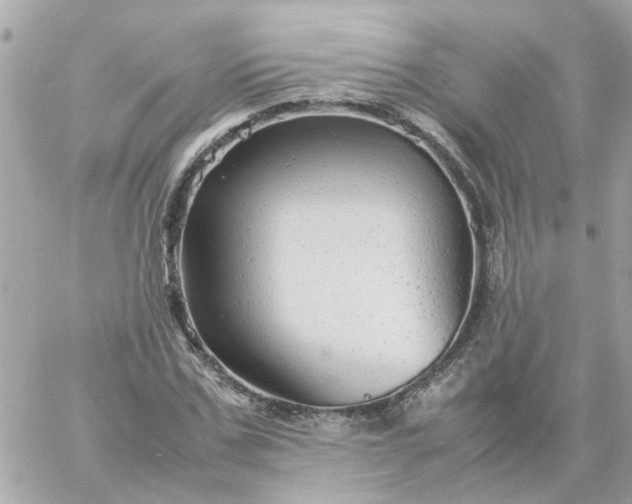 X0000059250971200510281952