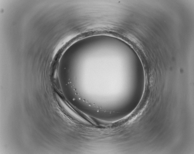 X0000059250973200510281952