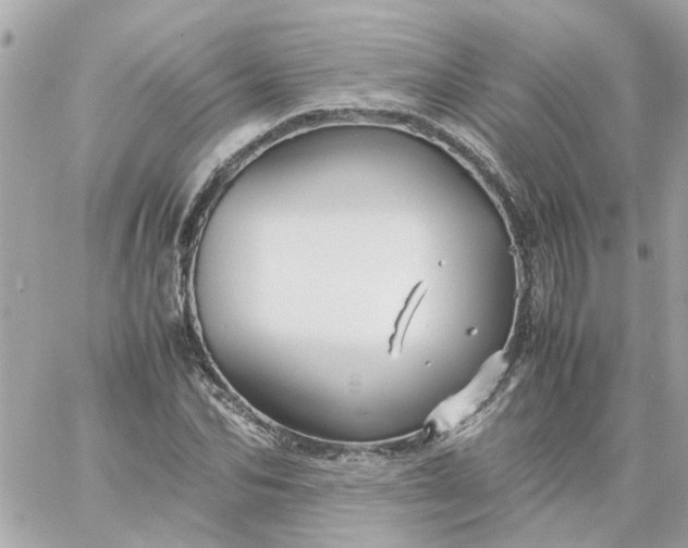 X0000059250974200510281952