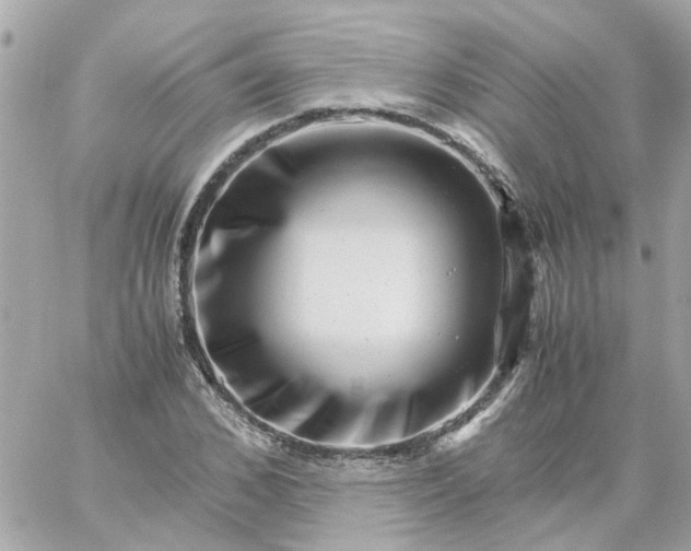 X0000059250976200510281952