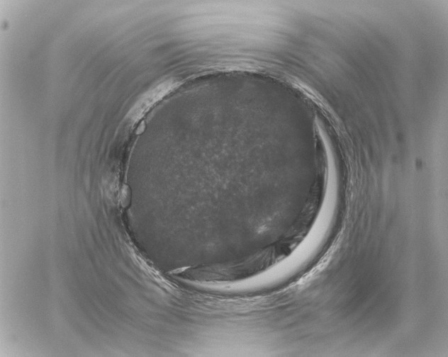 X0000059250977200510281952