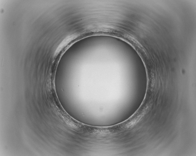 X0000059250978200510281952