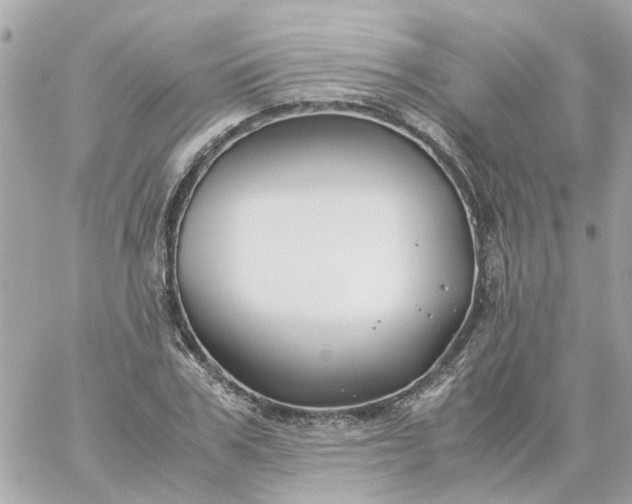 X0000059250979200510281952