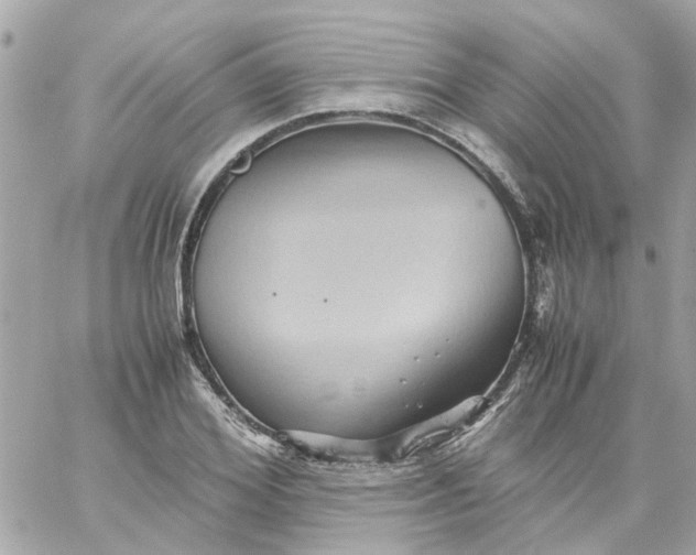 X0000059250980200510281952