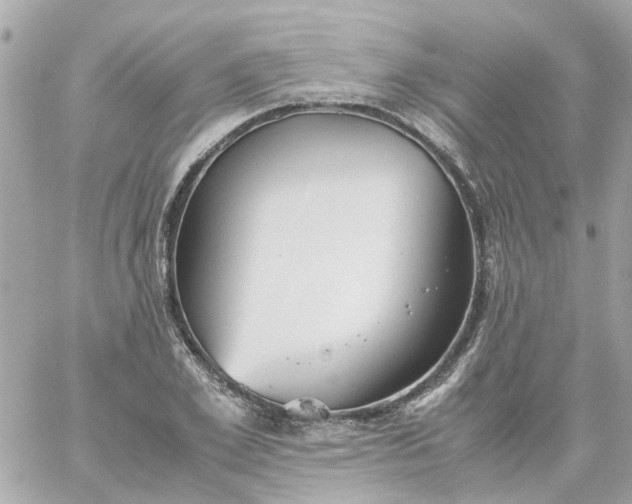 X0000059250981200510281952