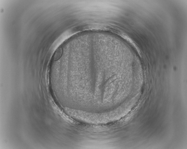 X0000059250983200510281952