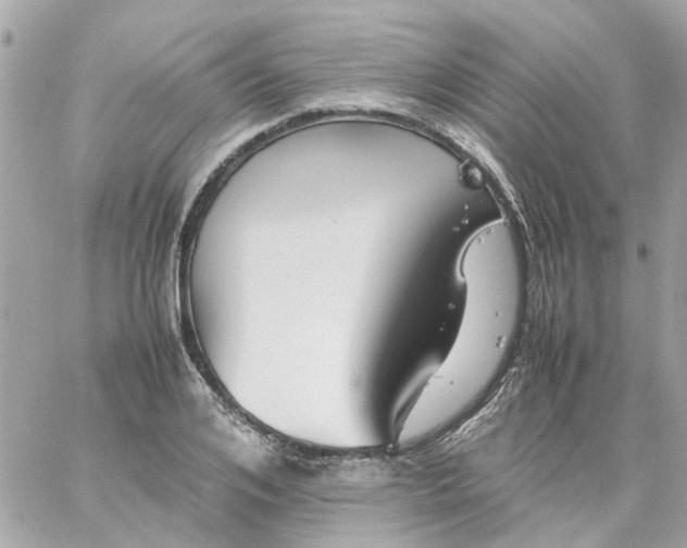 X0000059250984200510281952