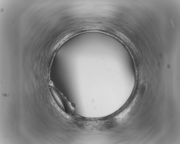 X0000059250985200510281951