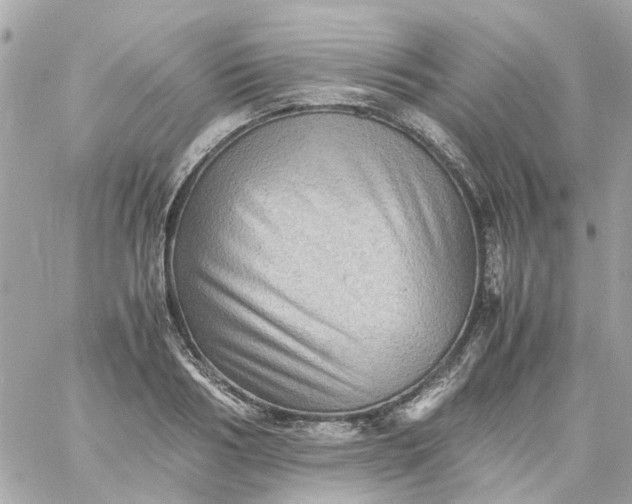 X0000059250986200510281951