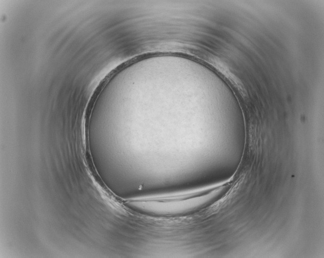 X0000059250988200510281951