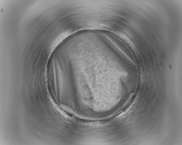 X0000059250990200510281951