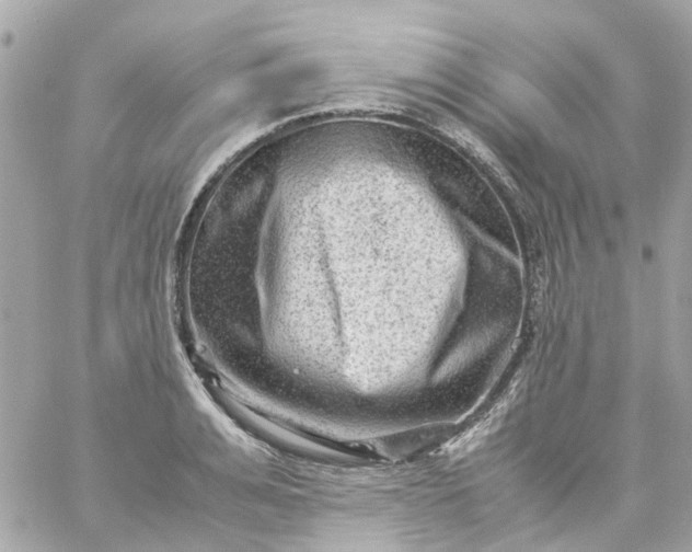 X0000059250991200510281951