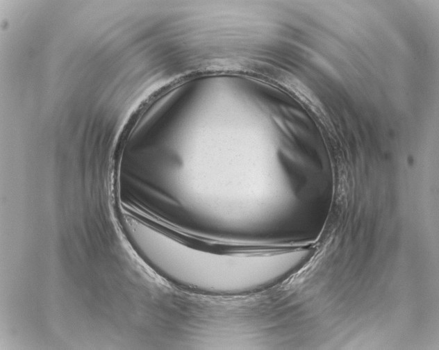 X0000059250992200510281951