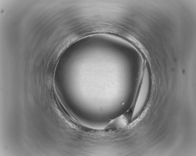 X0000059250993200510281951