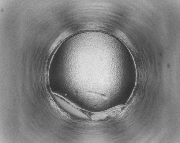 X0000059250994200510281951