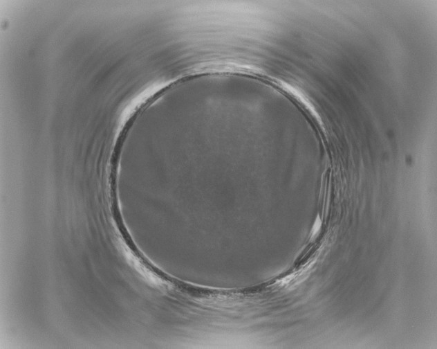 X0000059250995200510281951