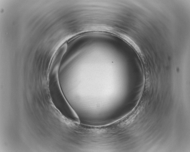 X0000059250996200510281951