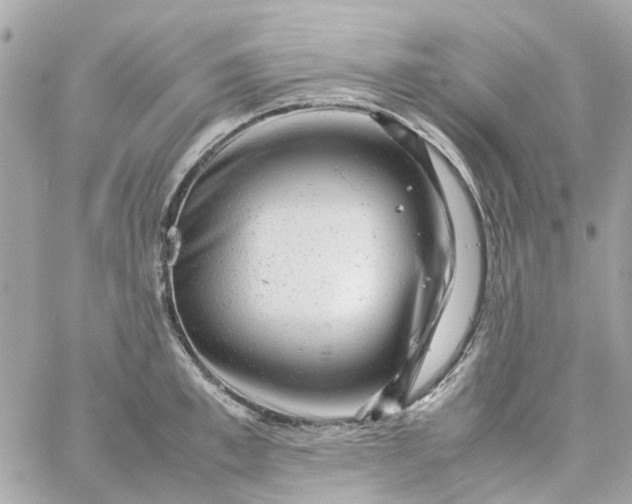 X0000059250997200510281951