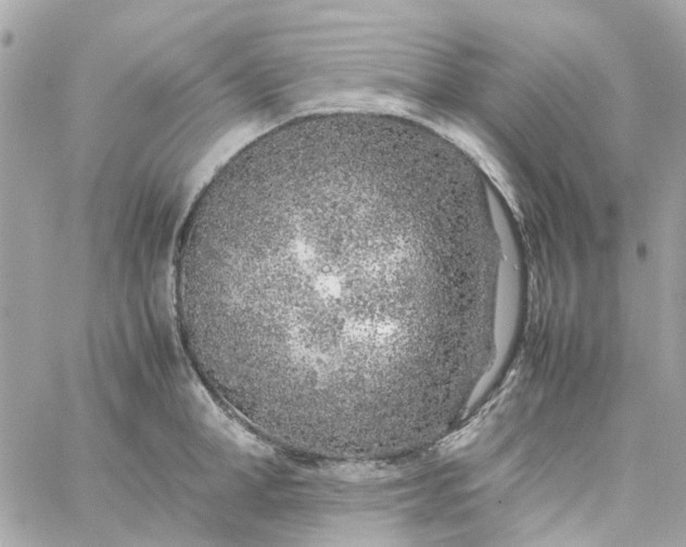 X0000059250998200510281951