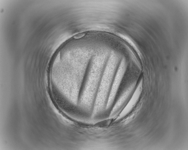 X0000059250999200510281951