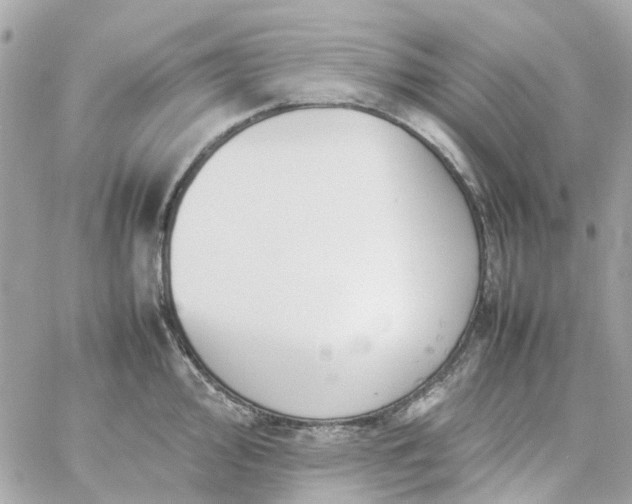 X0000059251000200510281951