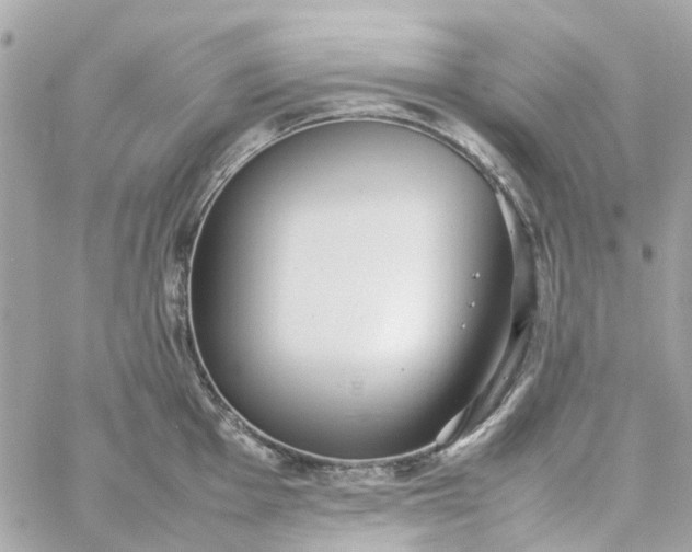 X0000059251001200510281951