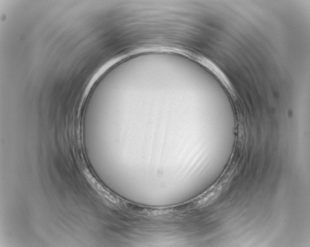 X0000059251004200510281951