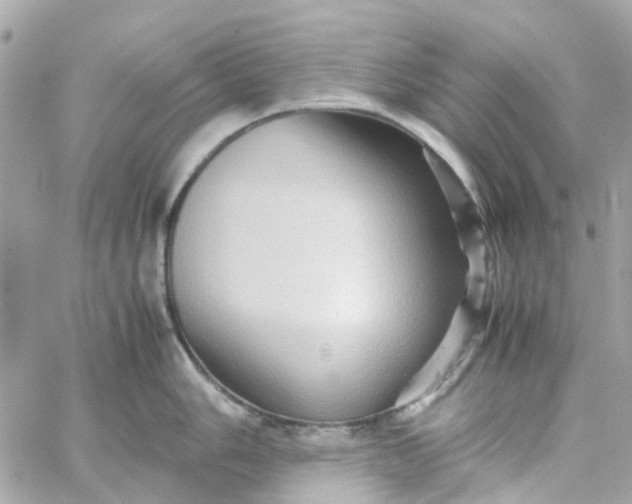 X0000059251006200510281951