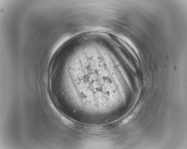 X0000059251007200510281951