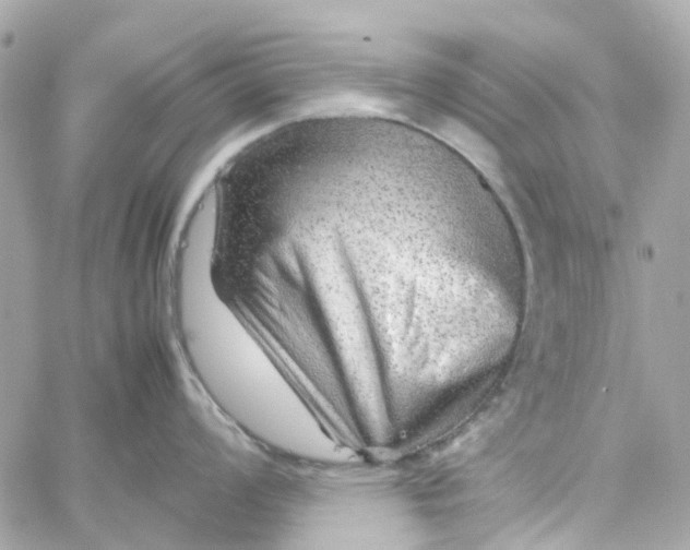 X0000059251008200510281951