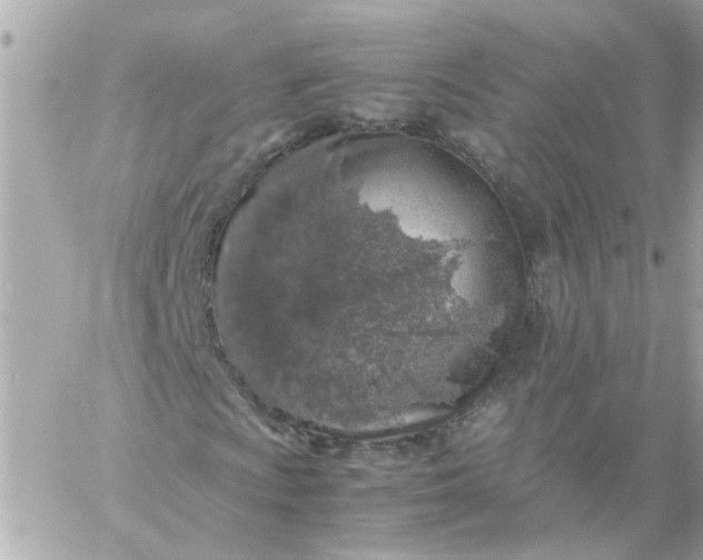 X0000059251009200510281950