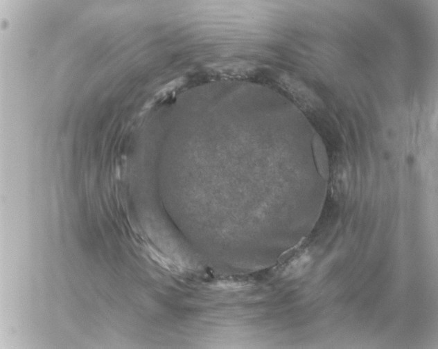 X0000059251010200510281950