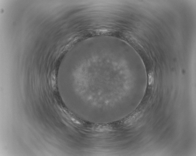 X0000059251011200510281950