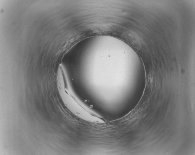 X0000059251012200510281950