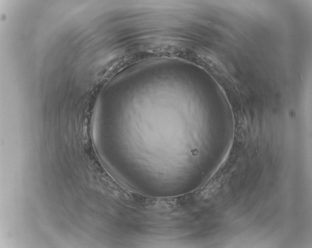 X0000059251013200510281950