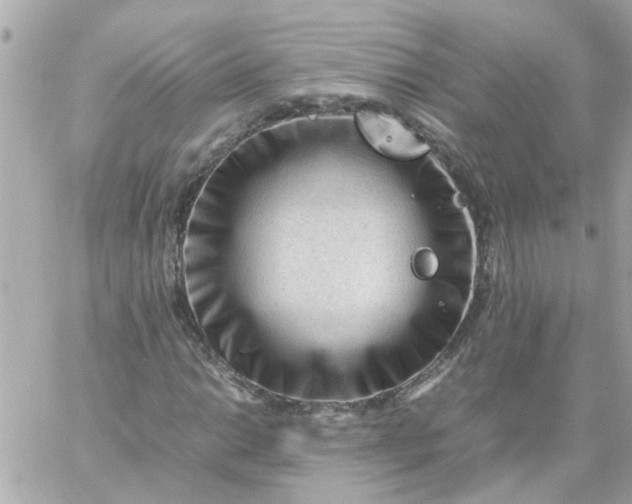 X0000059251014200510281950