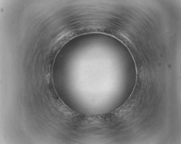 X0000059251015200510281950