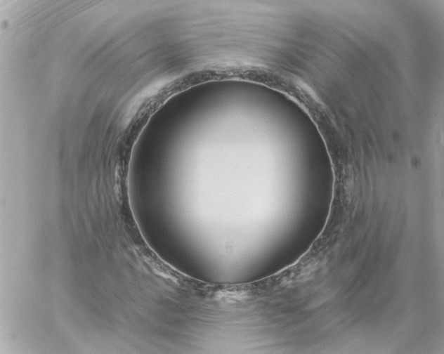 X0000059251016200510281950