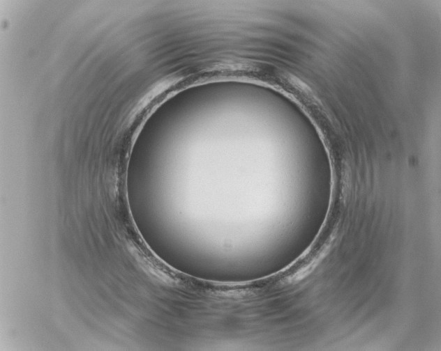 X0000059251017200510281950