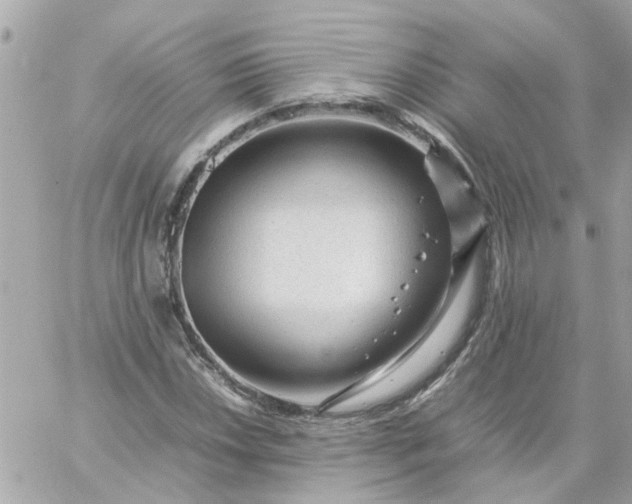 X0000059251018200510281950