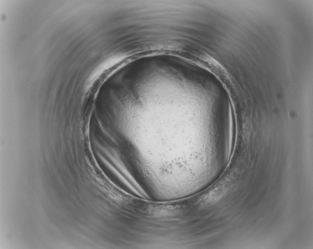 X0000059251019200510281950