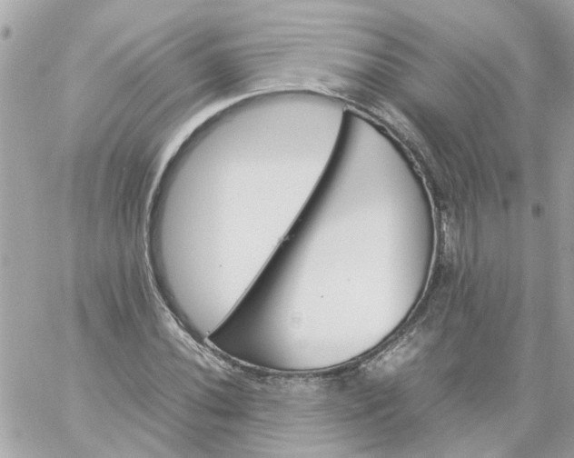 X0000059251020200510281951