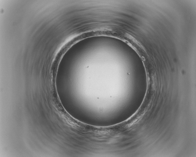 X0000059251021200510281951