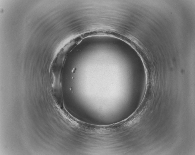 X0000059251022200510281951