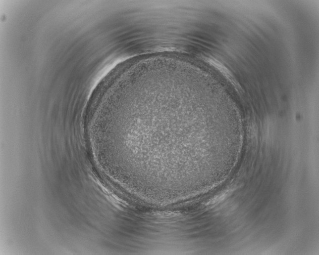 X0000059251023200510281951