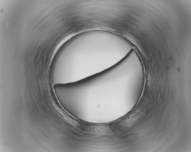 X0000059251024200510281951