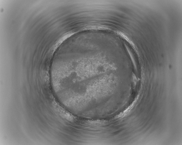 X0000059251025200510281951